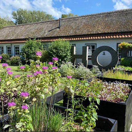 Hof Aan Zee Villa Dishoek Kültér fotó