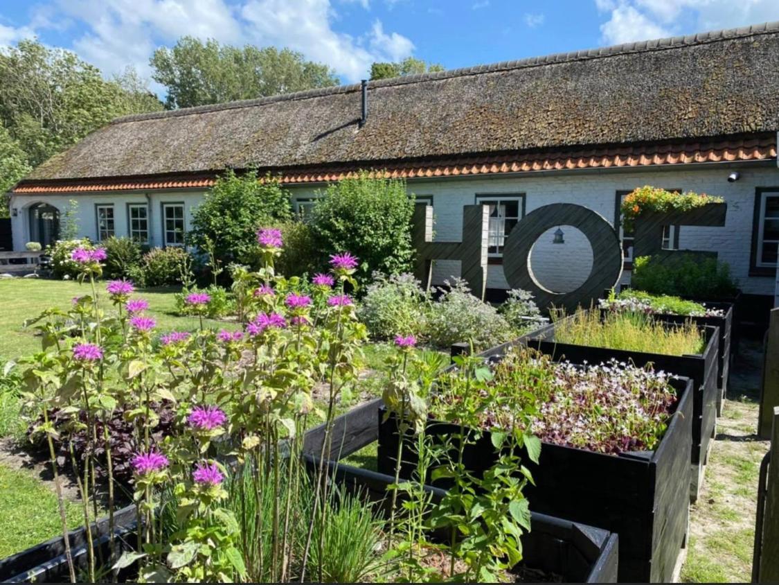 Hof Aan Zee Villa Dishoek Kültér fotó
